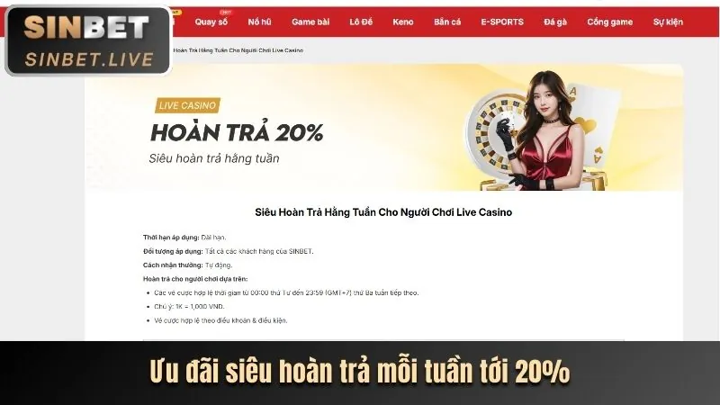 Hoàn Trả Hàng Ngày/Tuần onebet88 casino
